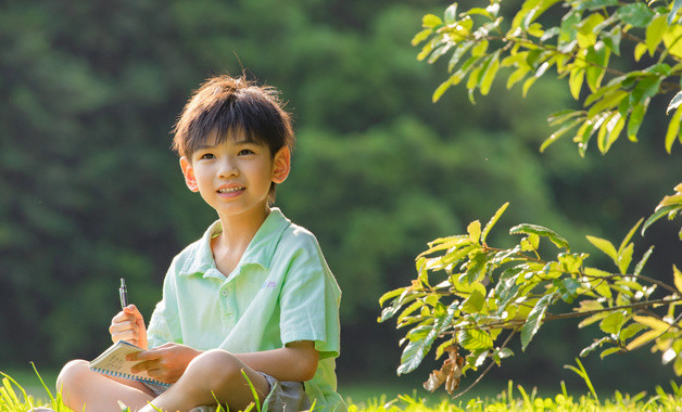 股份有限公司的注册资本（15个范本）